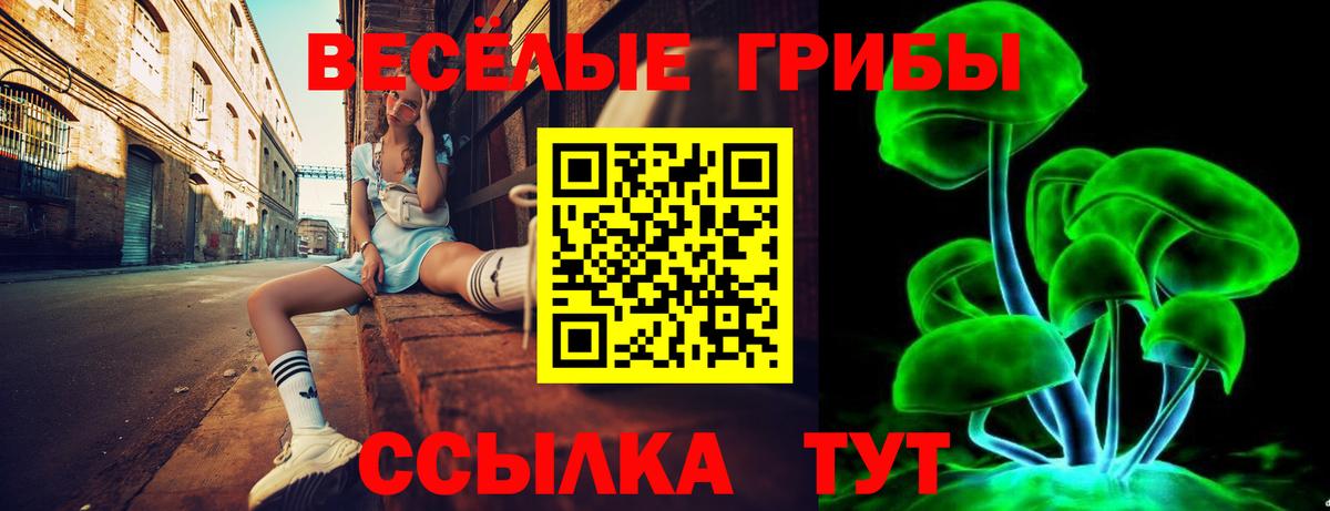 Дедовск  Галлюциногенные грибы Psilocybine cubensis  Вход с VPN 