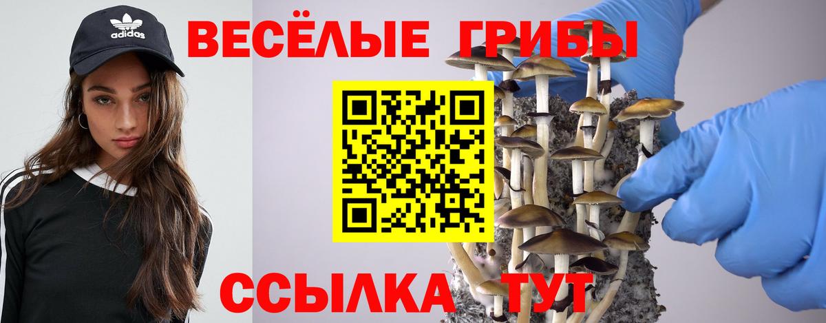 Псилоцибиновые грибы Cubensis  Псилоцибиновые грибы прущие грибы  Дедовск 